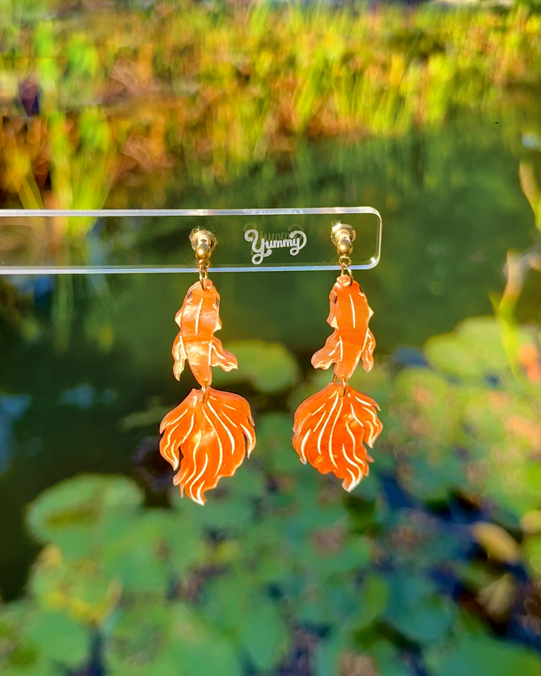 Betta fish 🐠🧡